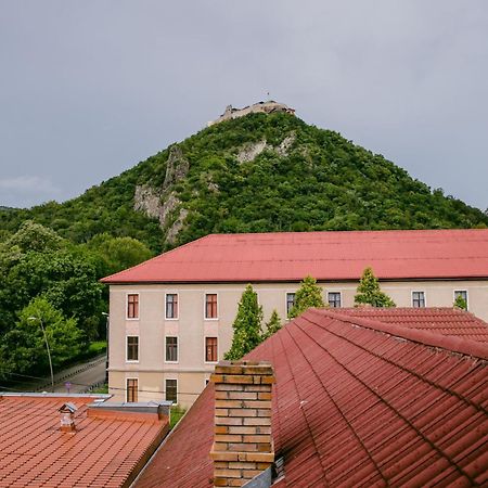 Pensiunea Vila Europa Deva Buitenkant foto