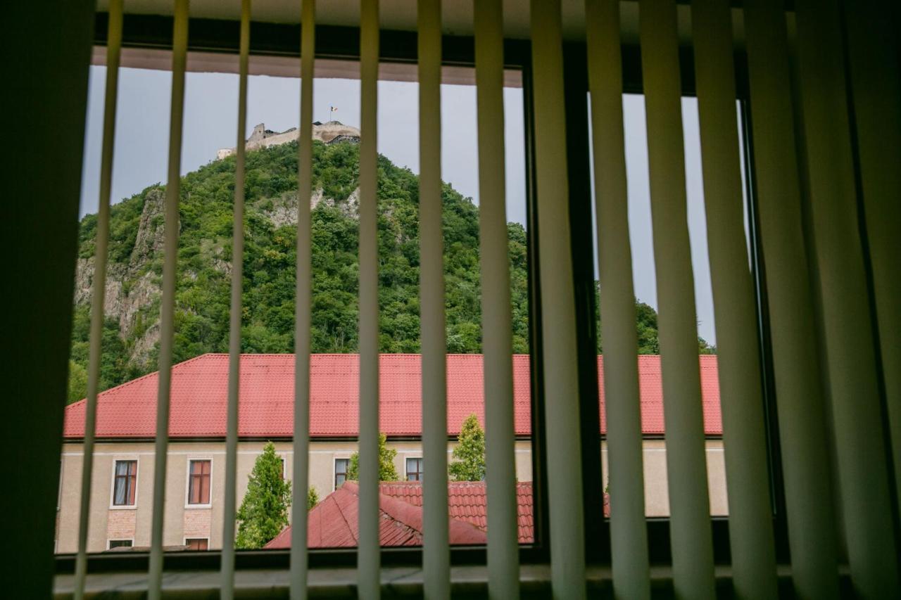 Pensiunea Vila Europa Deva Buitenkant foto