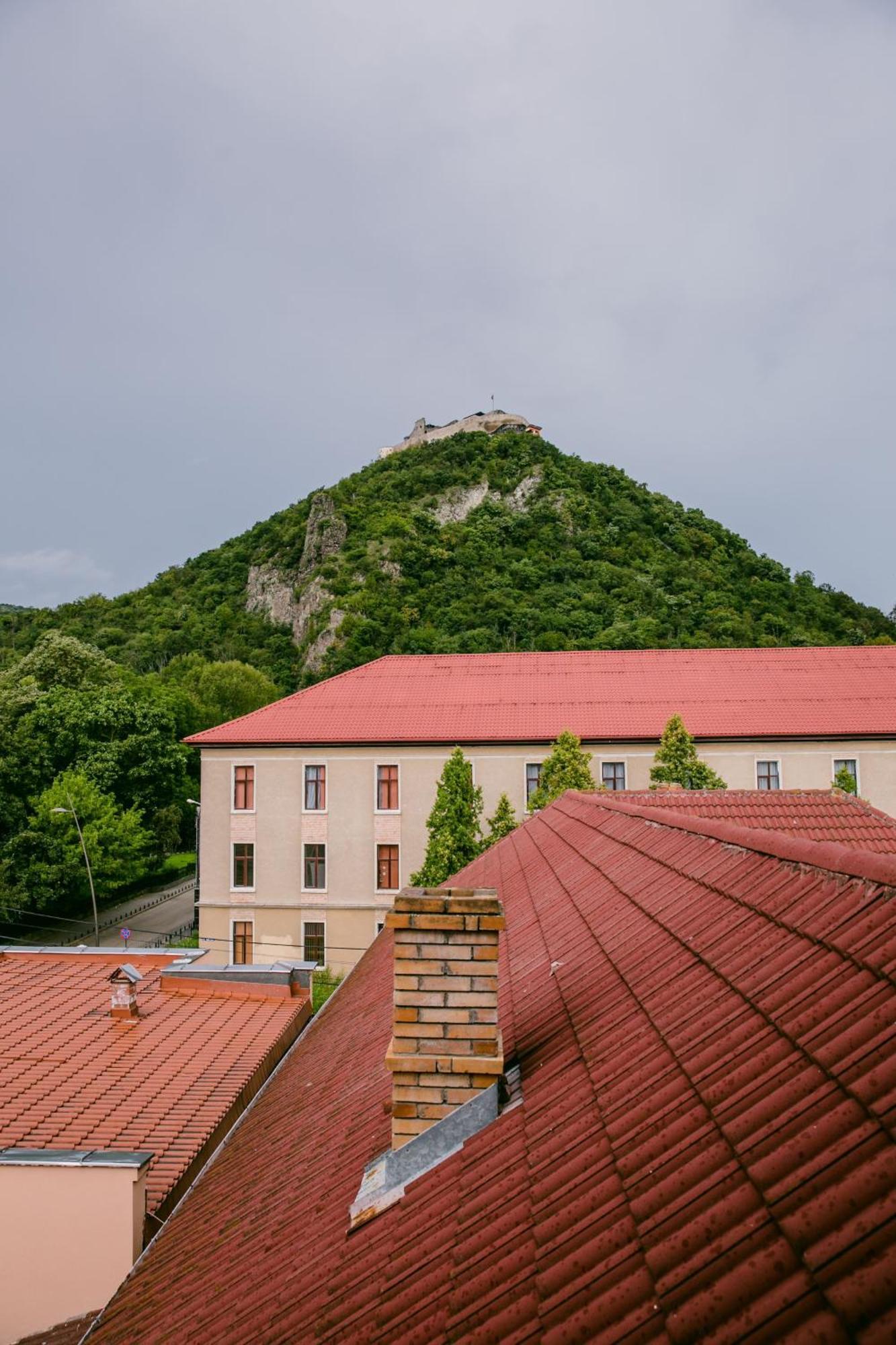 Pensiunea Vila Europa Deva Buitenkant foto