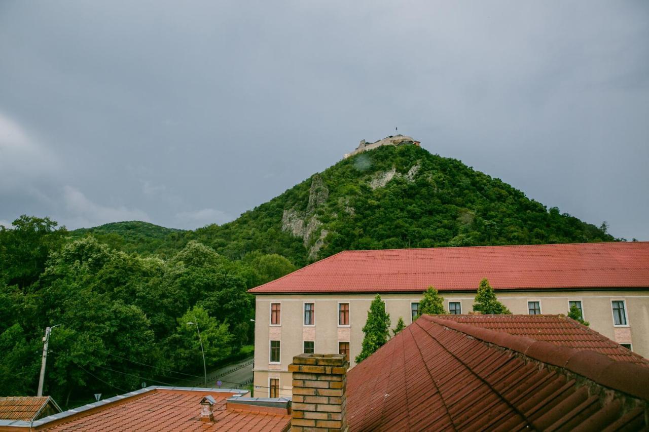 Pensiunea Vila Europa Deva Buitenkant foto