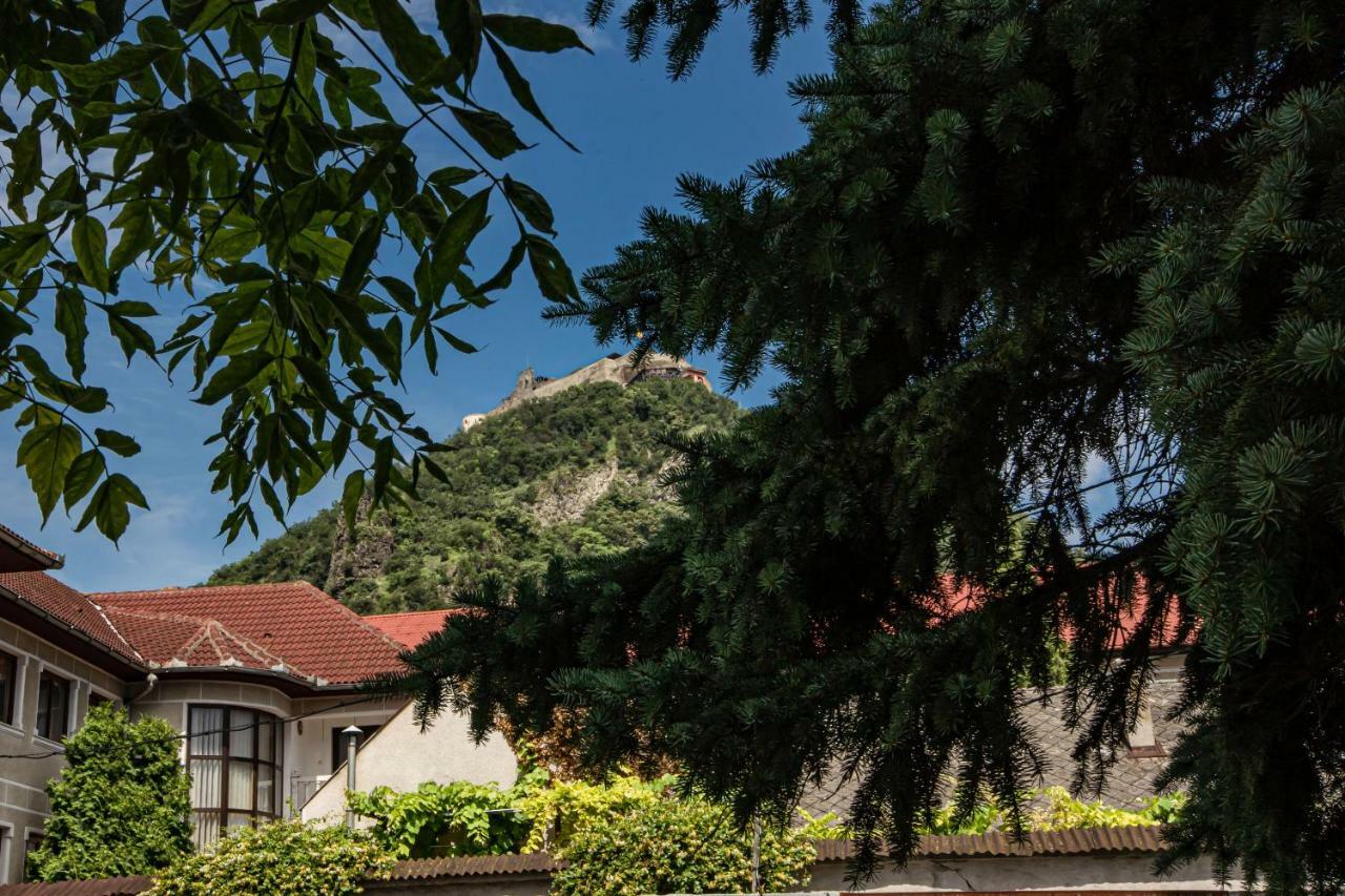Pensiunea Vila Europa Deva Buitenkant foto
